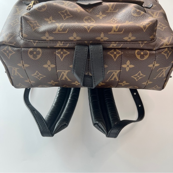 Louis Vuitton Palm Springs MM Monogram Backpack - Picture 4 of 16